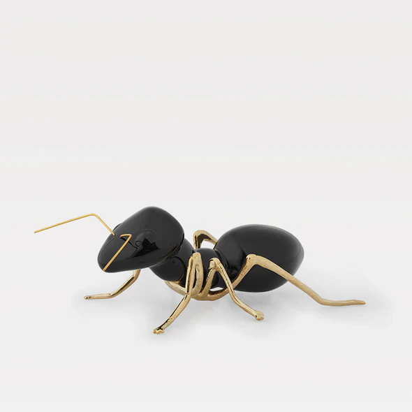 Formiga Preta - Laboratório d'Estórias