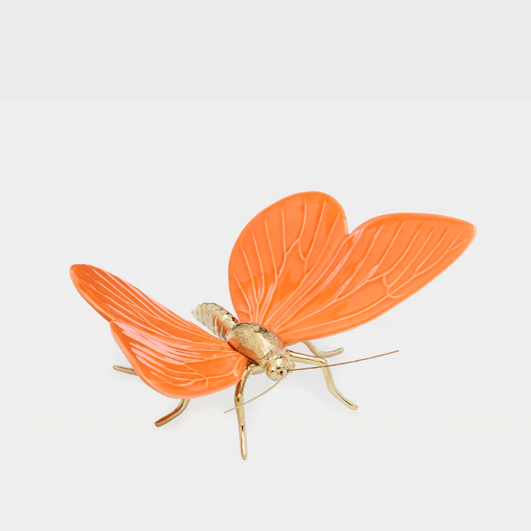 Borboleta Laranja - Laboratório d'Estórias