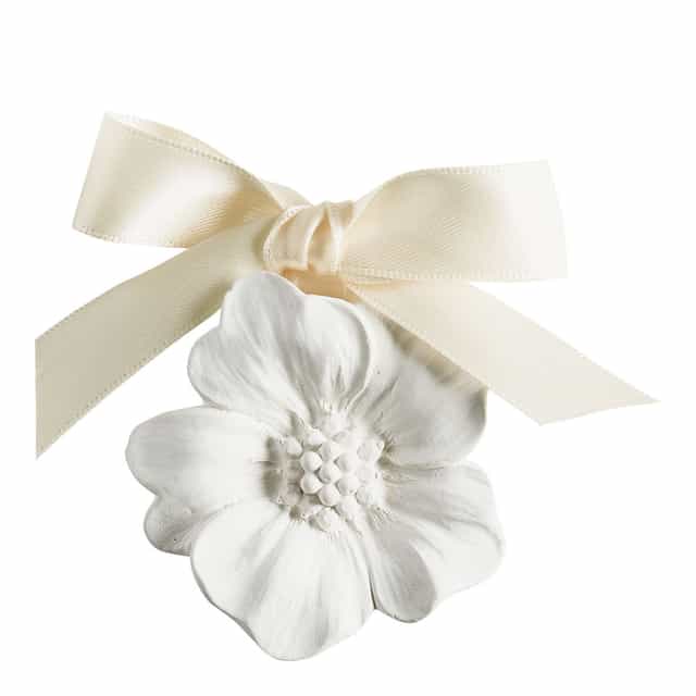 Coffret Mikado + Gesso Musc Irisé - Mathilde M.