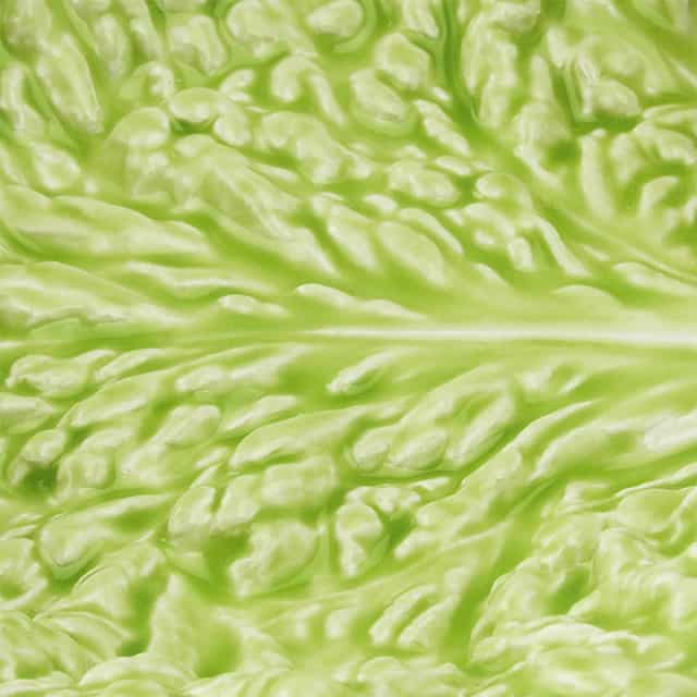 A Alfacinha - Laboratório d'Estórias