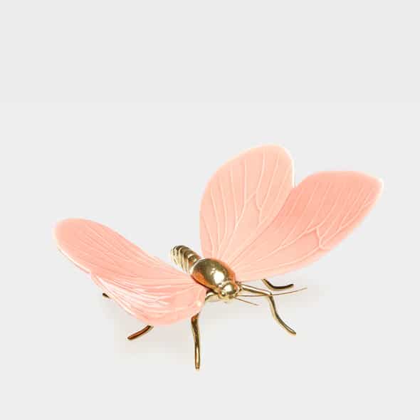 Borboleta Rosa - Laboratório d'Estórias