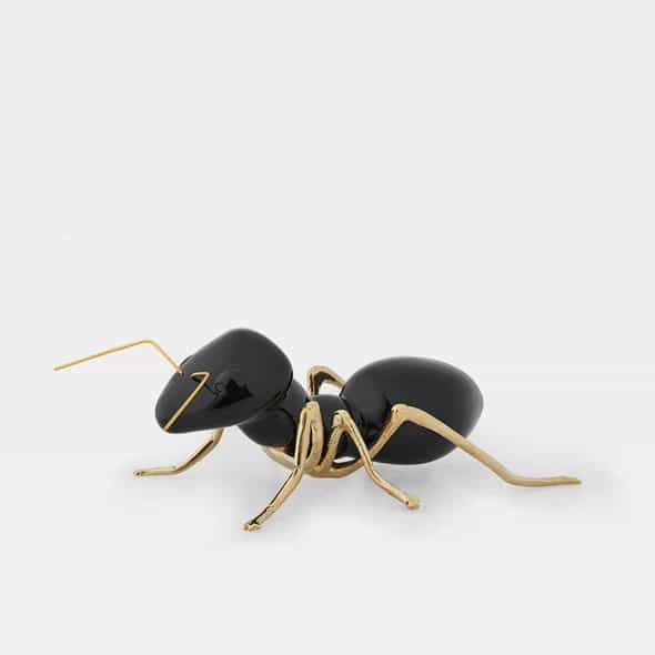 Formiga Preta - Laboratório d'Estórias