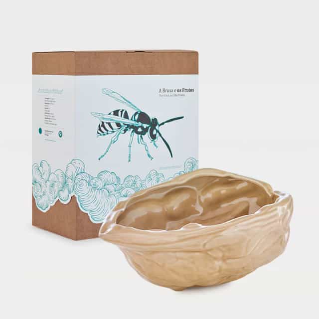 Noz Grande - Laboratório d'Estórias