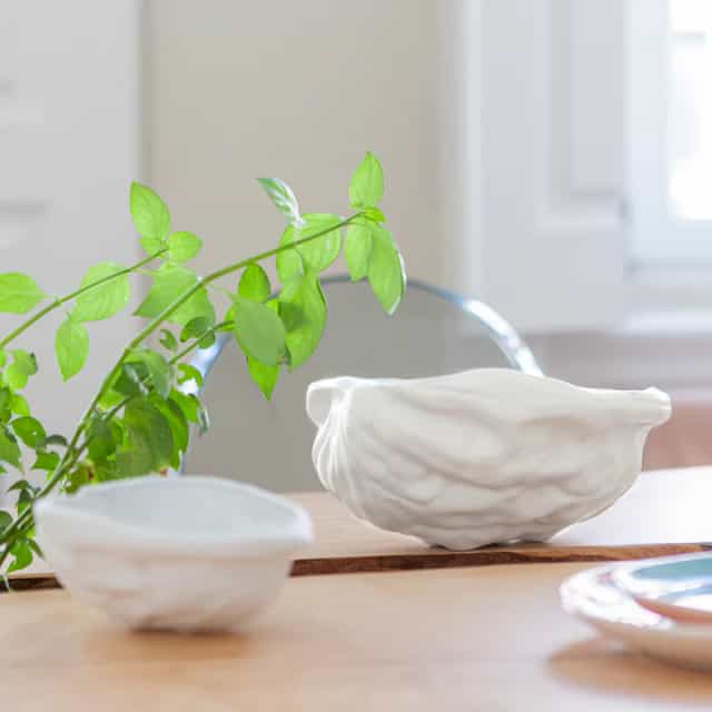 Noz Grande Grés - Laboratório d'Estórias