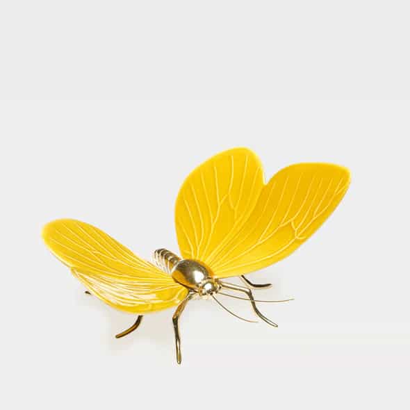 Borboleta_mostarda_PD_590x Borboleta Amarela - Laboratório d'Estórias